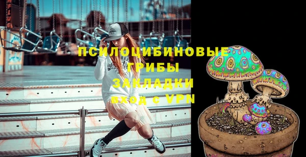 спайс Белокуриха