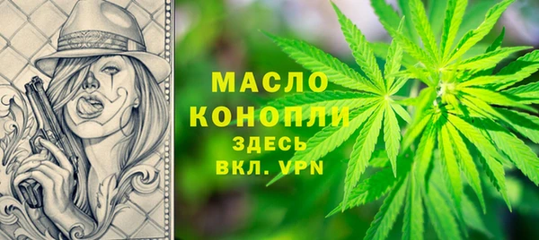 индика Инта