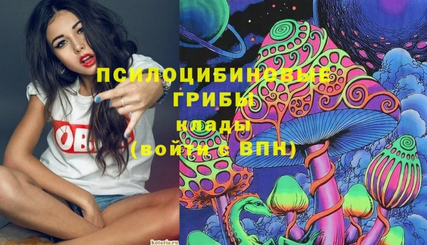 спайс Белокуриха
