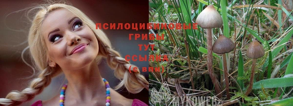 герыч Вяземский
