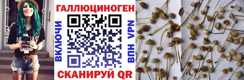 дарнет шоп  Вуктыл  Псилоцибиновые грибы MAGIC MUSHROOMS 
